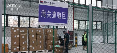 自贸试验区制度不断创新 浙江义乌监管新模式让小商品出口更快捷