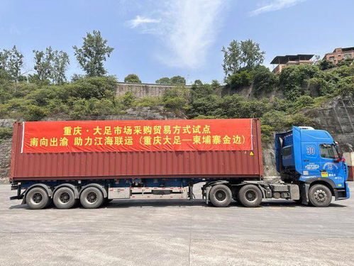 中老班列 江海联运双双首发,重庆市场采购贸易方式试点迎新突破