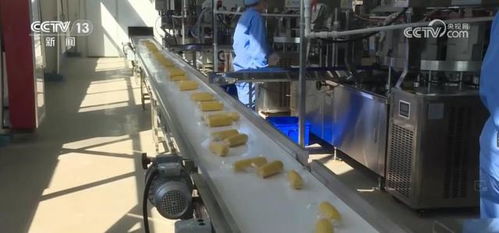 我国贸易伙伴多元共进 便利化措施让企业产品 出海 底气足