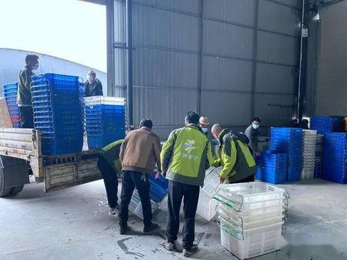 喜讯 全市目前规模最大 货品最齐全 交通最便捷的农特产品批发市场开门营业