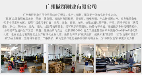 黑色手扶梯毛刷 傲群厂家直销 质量保证 定制单排手扶梯毛刷