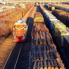  海南省南方原竹木批发市场 主营 原木 竹. 瓜菜 水