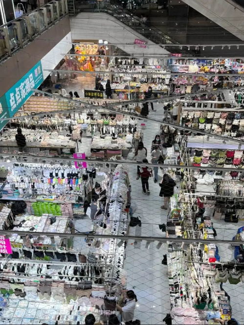 最近的北京年轻人,流行去郑州玩2元自助