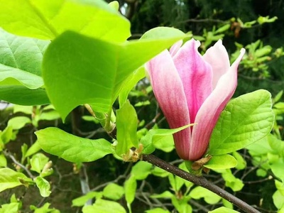 生意的本质 生生不息，心上之意