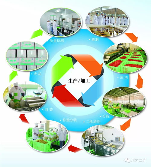 组织会员单位参加二连浩特边民互市贸易区商品展销会，推动商品零售贸易发展